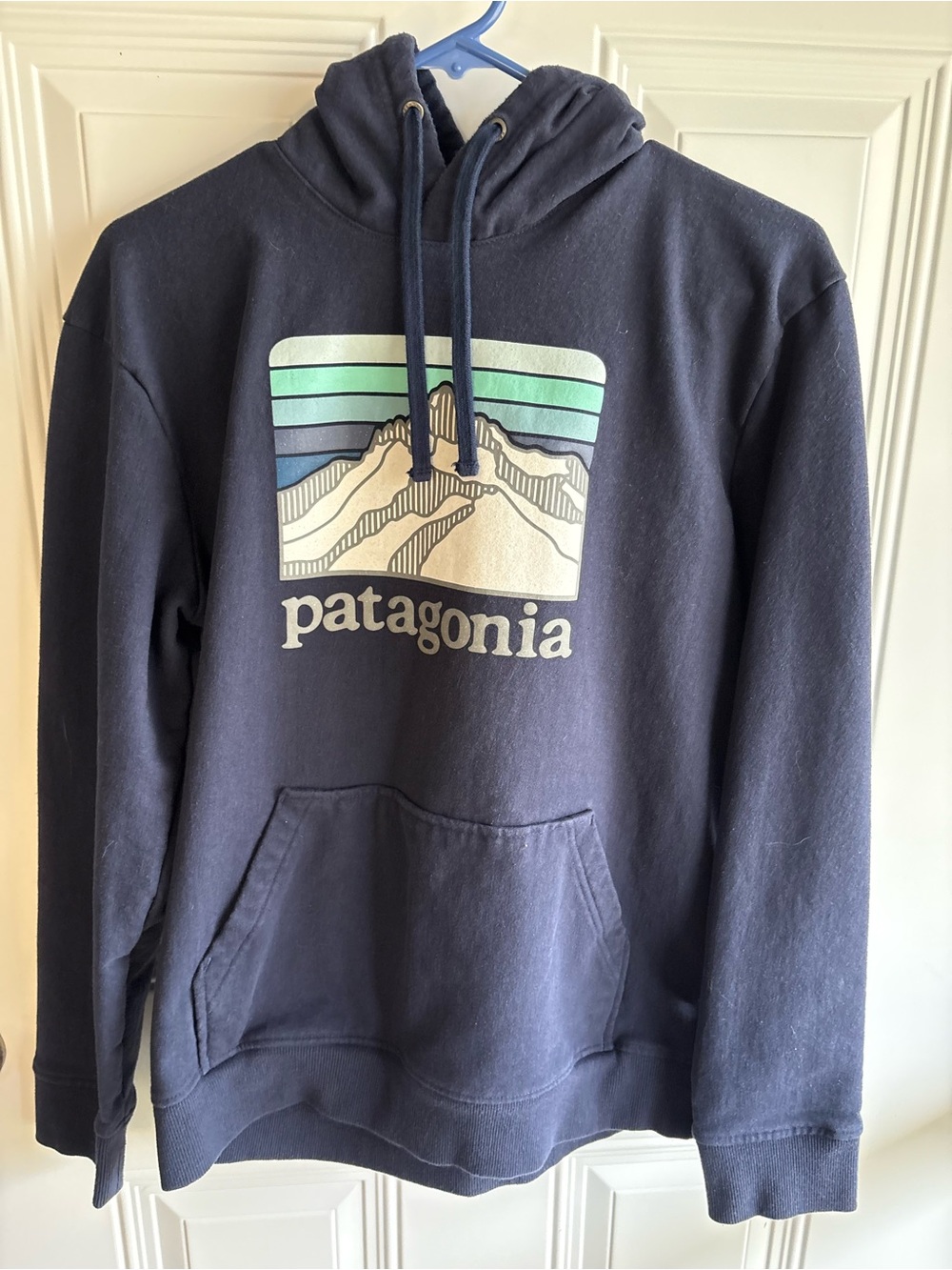 Patagonia Navy Pullover Hoodie with Cream & Teal Graphic